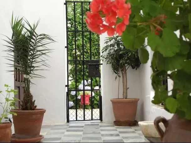 florals for outdoor patio and courtyard