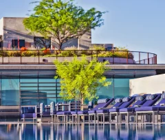 optima projects blue loungers